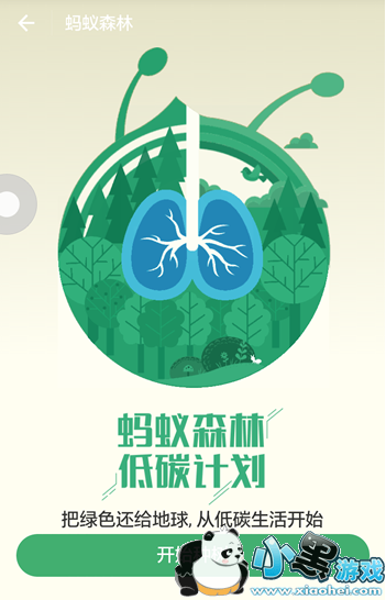 ����ɭ����ô�� ����ɭ�ֹ��Է���