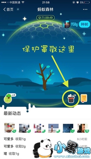 蚂蚁森林保护罩在哪 能量保护罩怎么打开 蚂蚁森林保护罩在哪 能量保护罩怎么打开