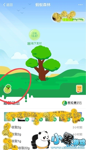 ����ɭ��ģ���ͼ��ô�� ����ɭ��ģ���ͼ������