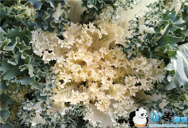 ����5�ֻ���ô�� ����5�׷�����