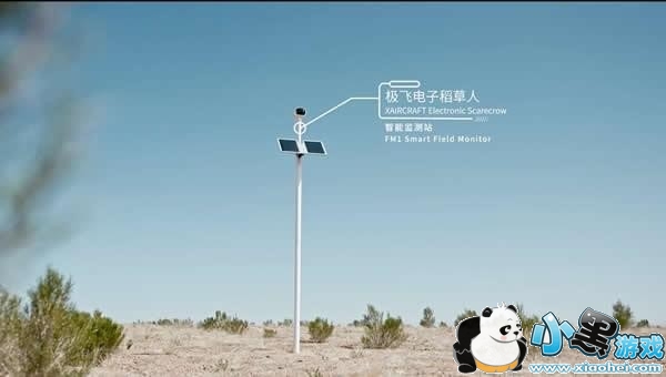 ����ɭ�����ǿ�����ô�� ����ɭ��ʵʱ����������