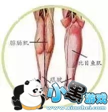 ���޶���ʲô �����Ϊʲô�������޶�