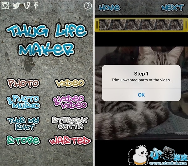 thug life������ô�� thug life������ôŪ