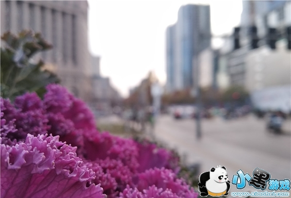 ����5�ֻ���ô�� ����5�׷�����