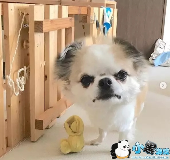 ��ͷ��Ƭ�ֻ�������ʲô ��ͷ��Ƭ����app cymera(�������)�淨�̳�