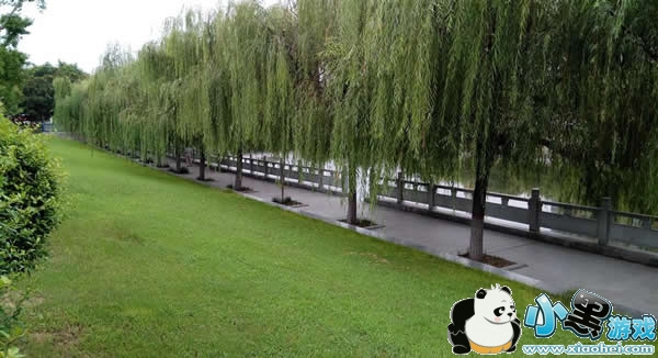 ����Pro��������ô�� ����Pro����������