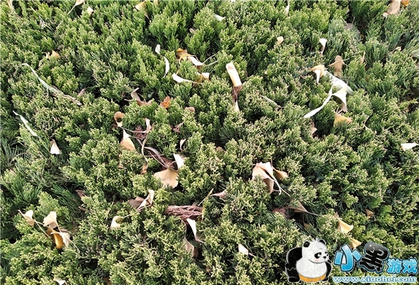 ����5�ֻ���ô�� ����5�׷�����