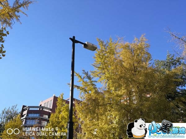 ��ΪMate 9�ֻ���ô�� ��ΪMate 9�������