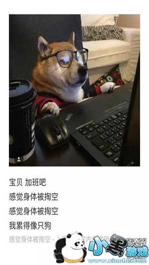 ���ҳ������������� ���ҳ���������ڵ�ַ����