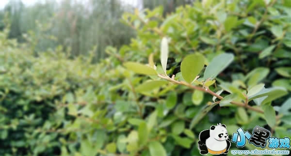 ����Pro��������ô�� ����Pro����������