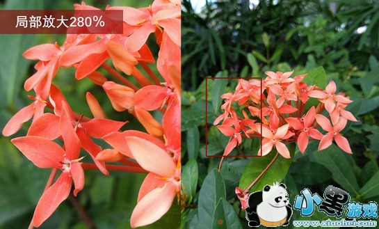 Ŭ����minis��ô�� Ŭ����minis������ô��