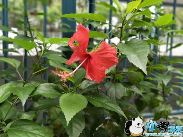 一加5手机怎么样 一加5手机评测 一加5手机怎么样 一加5手机评测