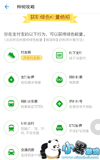 ����ɭ�ּ��������� ����ɭ��������������