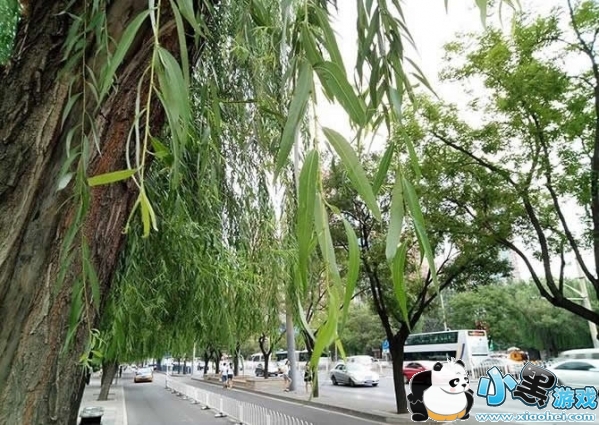 魅蓝max怎么样好不好 魅蓝max手机评测 魅蓝max怎么样好不好 魅蓝max手机评测