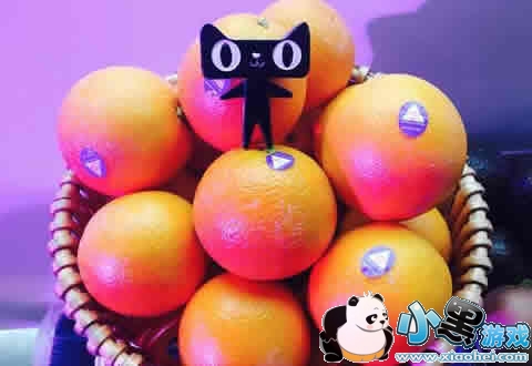 �������к���è�����ĸ��� �������к���è����������ȫ�Ա�