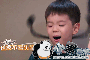 �ź�С������Ч���ĸ����� �ź�С������Ч��ôŪ