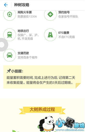 ����ɭ����ô�� ����ɭ�ֹ��Է���