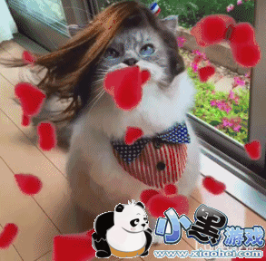 lumyer��ô�� lumyer��ô������Ȧ