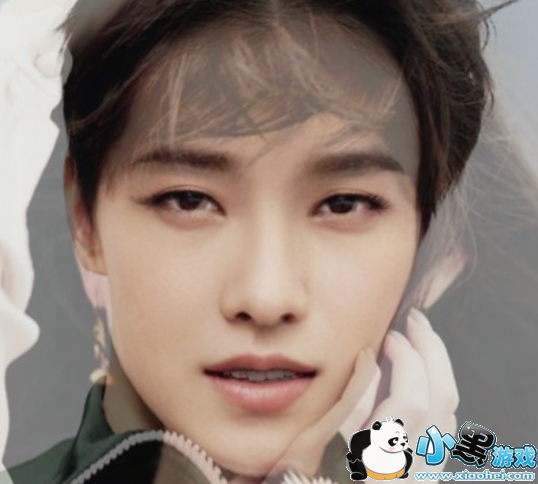 性别反转照片软件怎么玩 郑爽变男人软件是什么