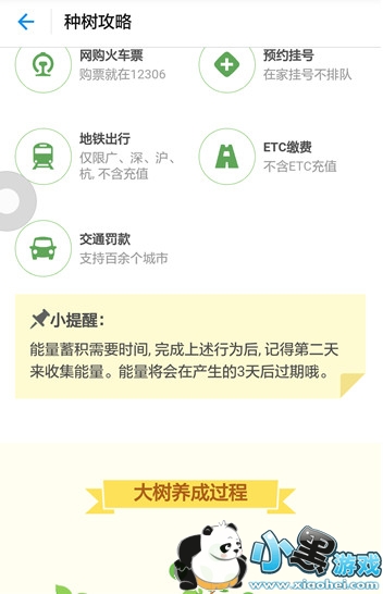 ֧��������ɭ������ ����ɭ����ô��ȡ���˵�����