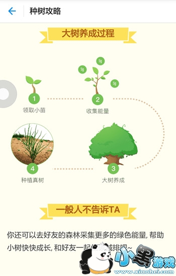 ����ɭ��������ʲô�� ����ɭ������֧��ʲô��˼