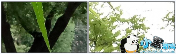 魅蓝max怎么样好不好 魅蓝max手机评测 魅蓝max怎么样好不好 魅蓝max手机评测