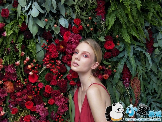 oppor11plus��oppor11��ʲô���� oppor11��oppor11plus�ĸ���