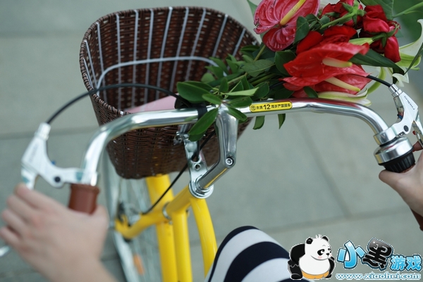 ofo公主车是什么 ofo公主车怎么样 ofo公主车是什么 ofo公主车怎么样