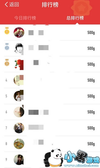 ����ɭ�ֺ�����ô������ ����ɭ�ֺ����Ҳ���