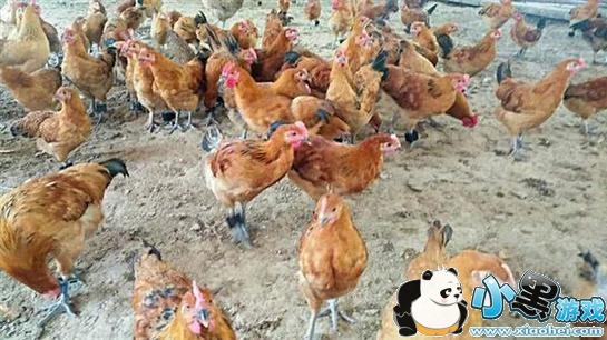 ��������ʲô ��������ô��