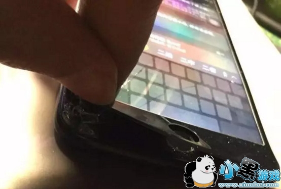 ƻ���ֻ���Ĥ