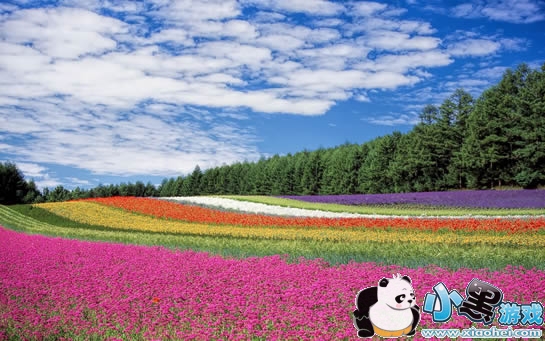 ���ղ黨������ʲô ����ʶ������App����