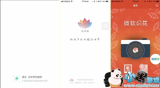 拍照查花软件叫什么 三款识花神器App评测