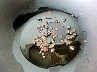 �Ǵ��Źǵ���������7