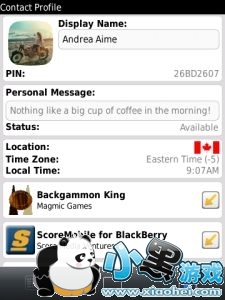 RIM����BlackBerry Messenger 6