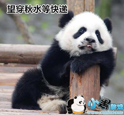 ˫ʮһ��ݶ�����ô�� ˫11��ݶ�����ô����