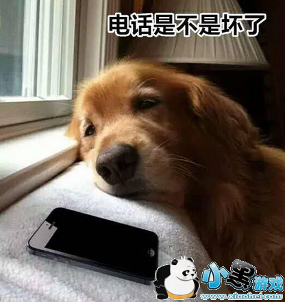 ˫ʮһ��ݶ�����ô�� ˫11��ݶ�����ô����