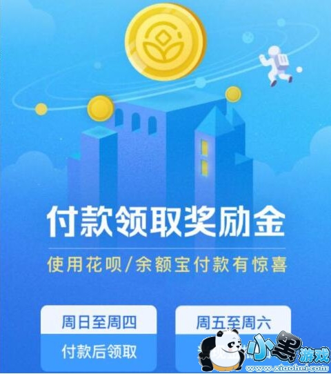 ֧����������