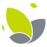 ����ʱ��