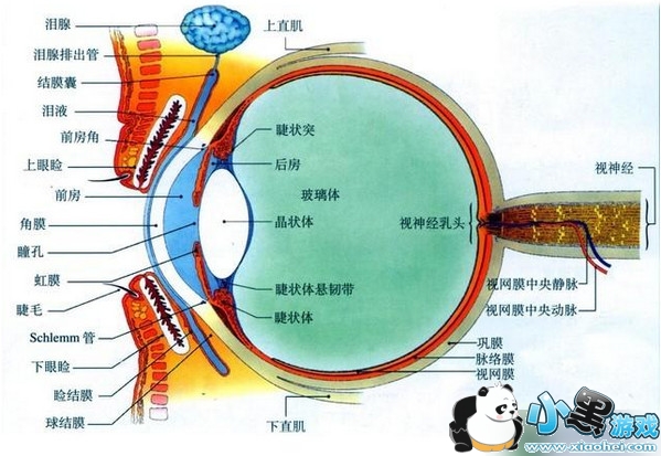 ���۵����ر�������������۵������Ƕ���