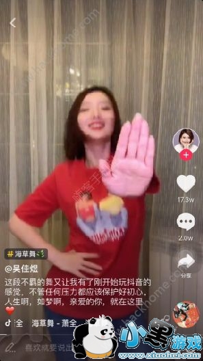 抖音海草是什么歌?抖音海草舞怎么怕?[多图](下