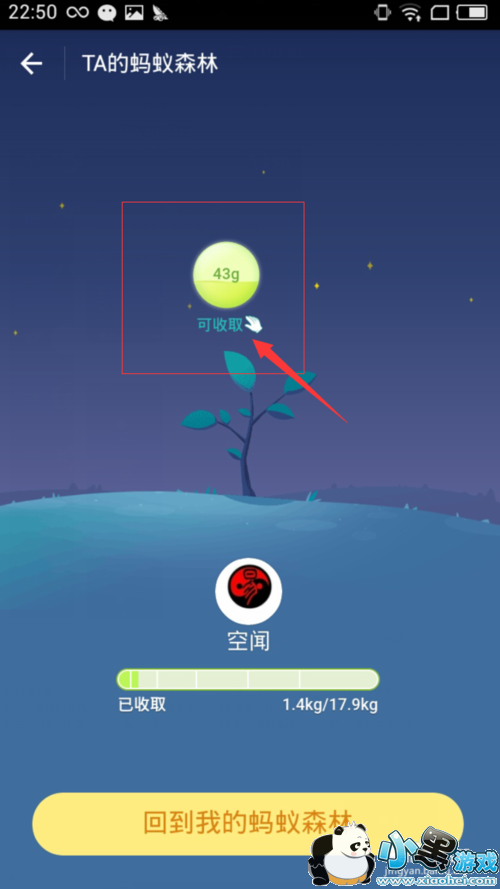 ֧����������ɭ����ô��ȡ������