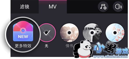 ������Ч