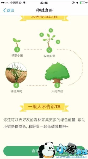 ֧����������ɭ����ô�棿