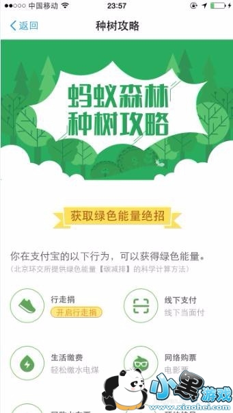 ֧����������ɭ����ô�棿