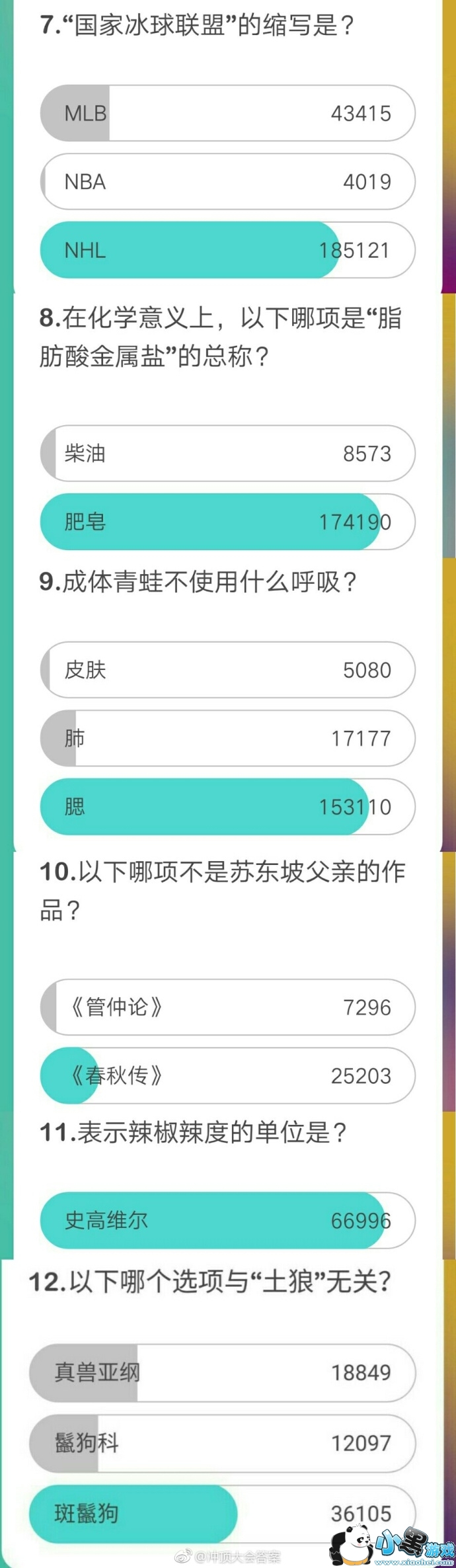 �嶥���1��31��19�㳡��Ŀ����