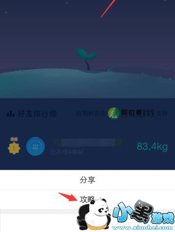 ֧����������ɭ����ô�棿