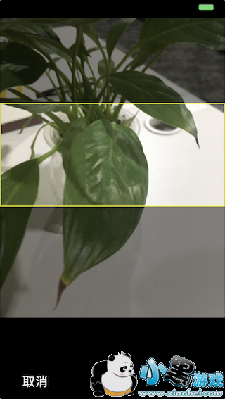 ��Ϊï�ֻݵ�ר��곤Ҫ���ά��������Ϣ��