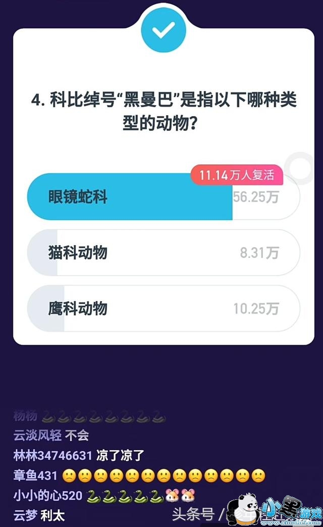 ����Ӣ��2��5��13�㳡��Ŀ����