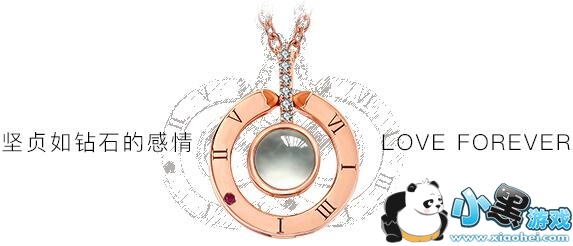 抖音上把一百种语言我爱你刻在项链里的项链叫